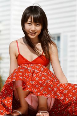 雾里看花 电视剧